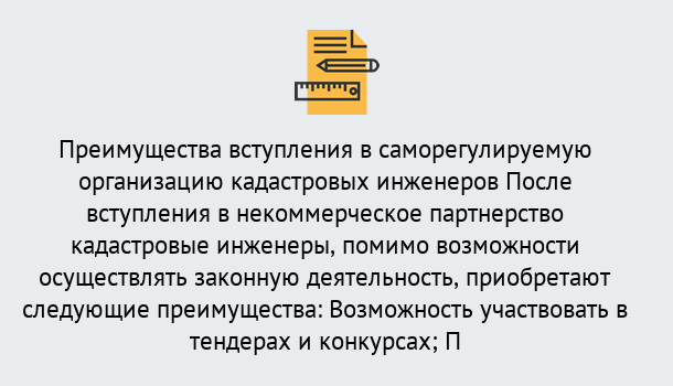 Почему нужно обратиться к нам? Воркута Что дает допуск СРО кадастровых инженеров?