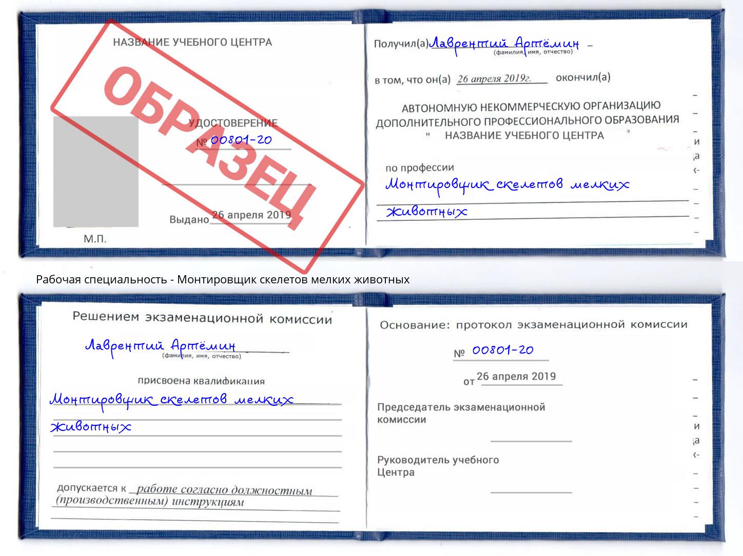 Монтировщик скелетов мелких животных Воркута