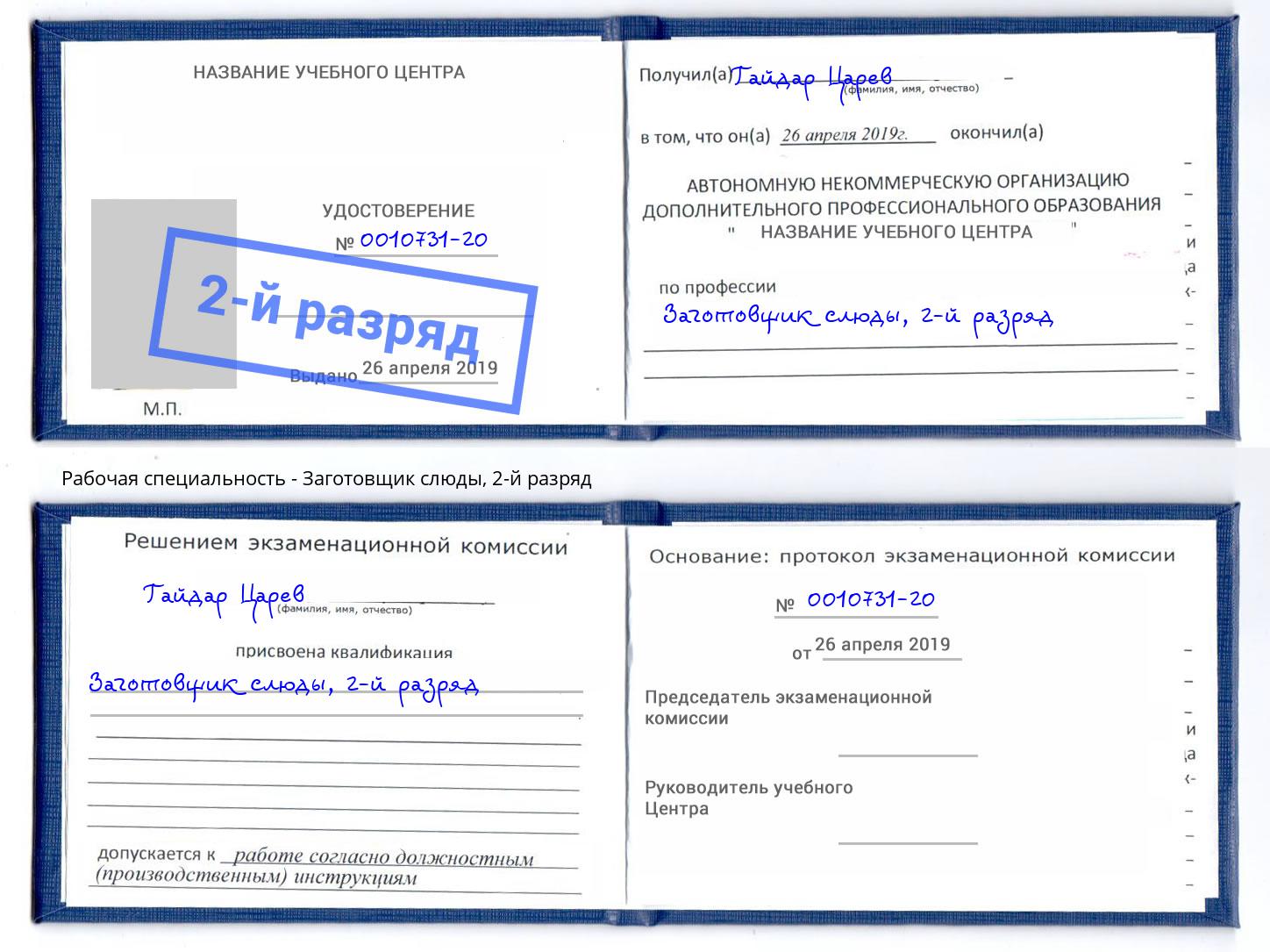 корочка 2-й разряд Заготовщик слюды Воркута